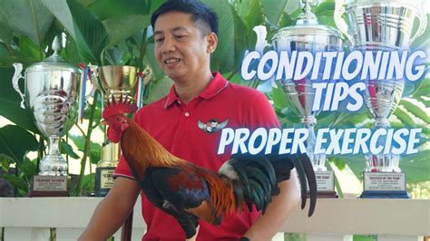 Conditioning: Tamang Ehersisyo Sa Ating Panglabang Manok.